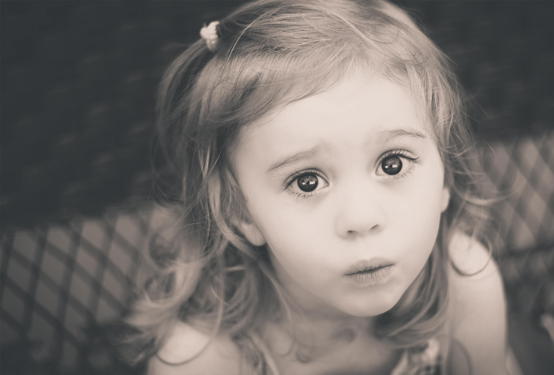 Fade to Blaq | Williamsburg Kentucky Portrait and Family Photographer
