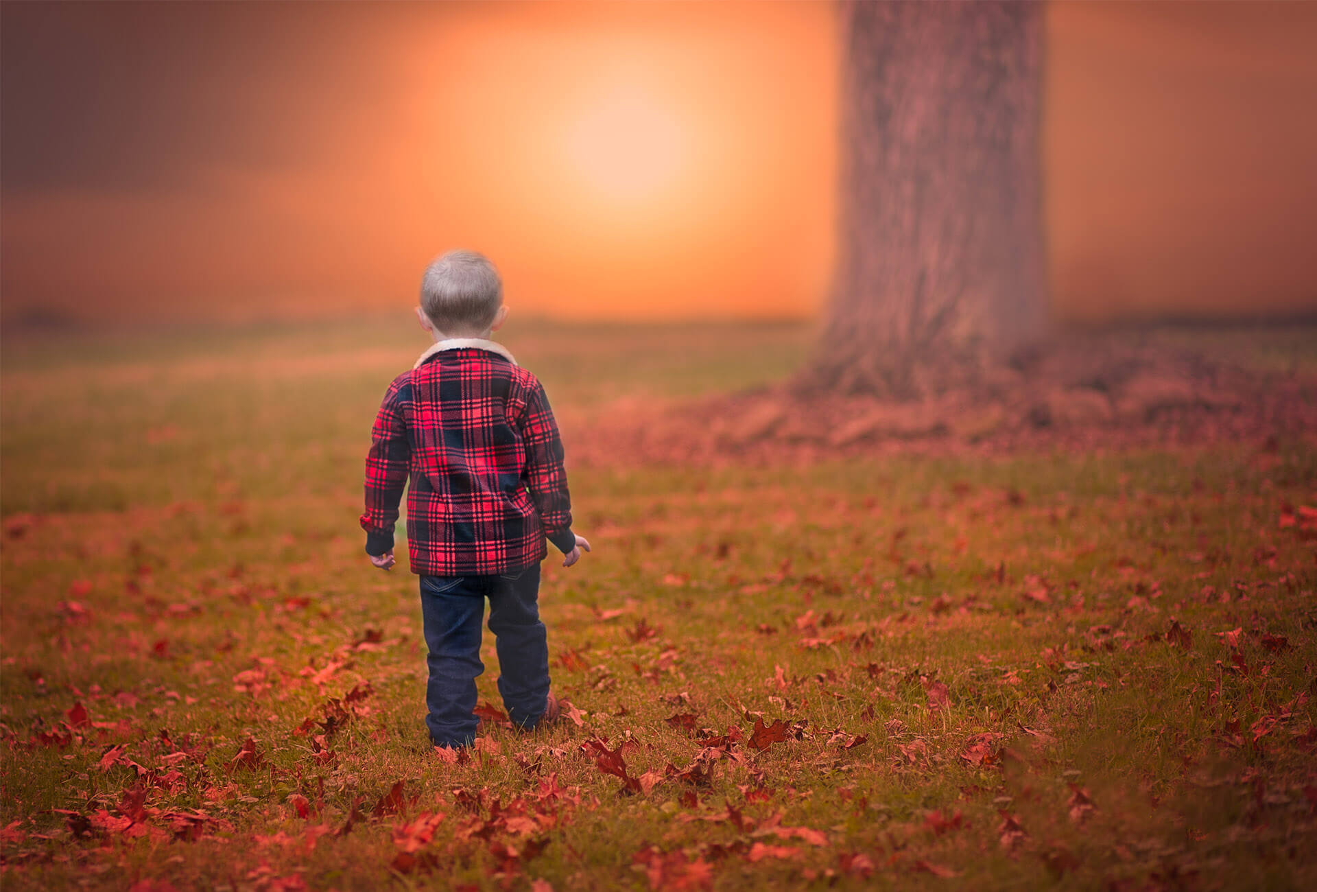 Fade to Blaq | Williamsburg Kentucky Portrait and Family Photographer
